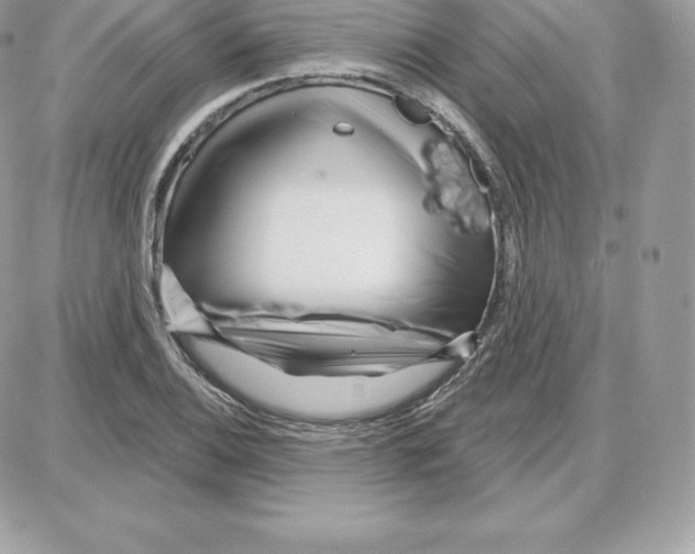 X0000087681124200706011647