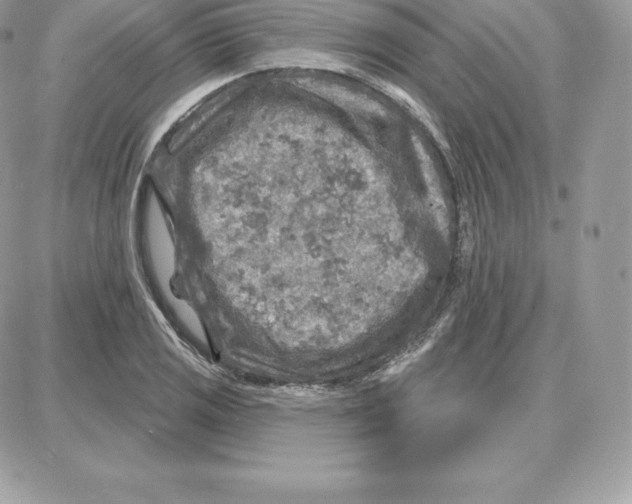 X0000087681125200706011647