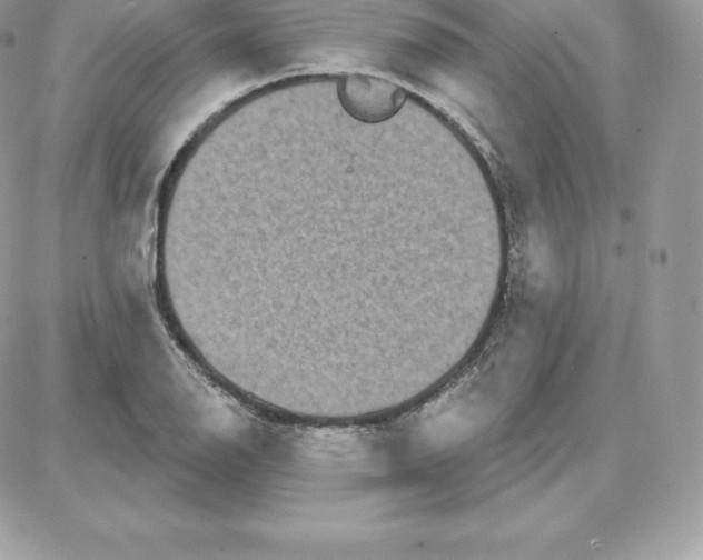 X0000087681126200706011647