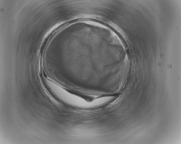 X0000087681127200706011647