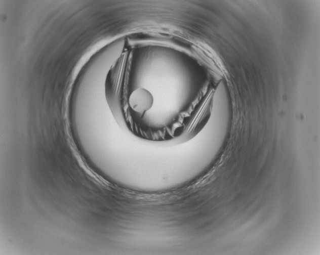 X0000087681128200706011647