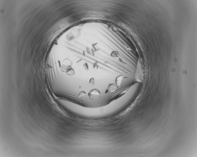 X0000087681129200706011647