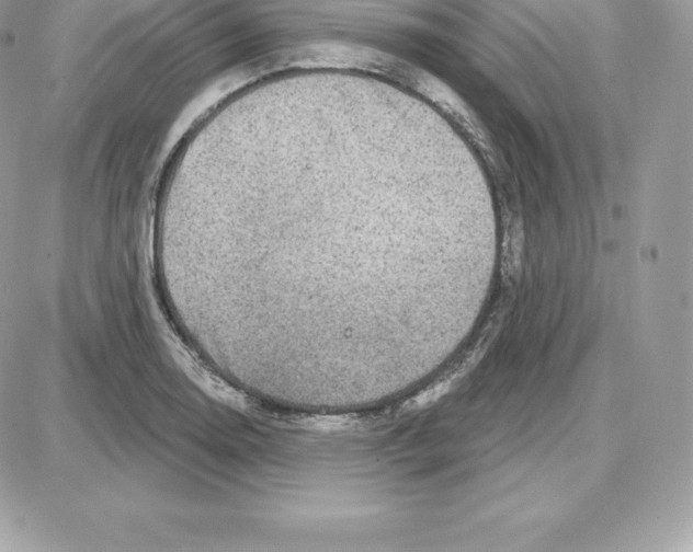 X0000087681130200706011647