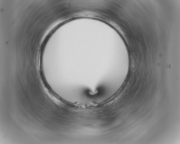 X0000087681131200706011647