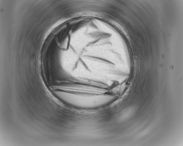 X0000087681133200706011647