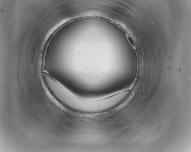 X0000087681134200706011647