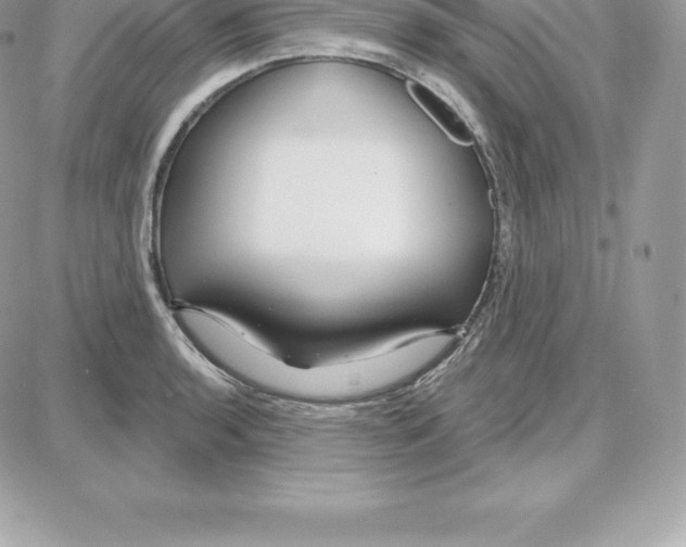 X0000087681136200706011647