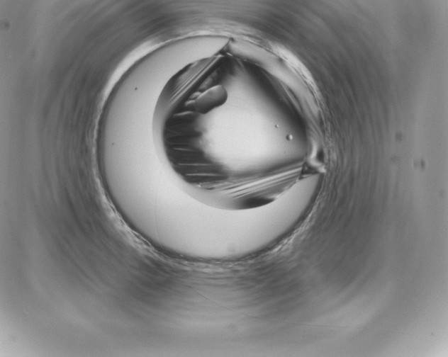 X0000087681138200706011647