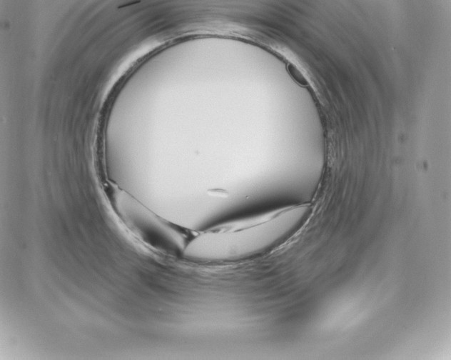 X0000087681139200706011647