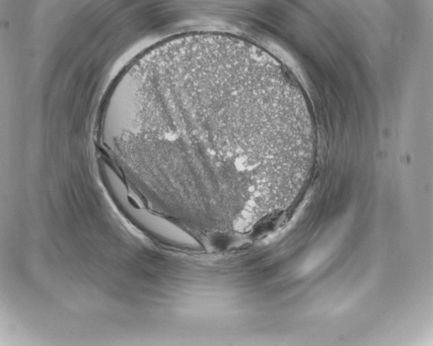 X0000087681141200706011648