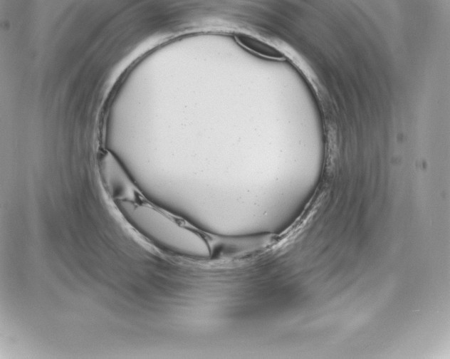 X0000087681142200706011648