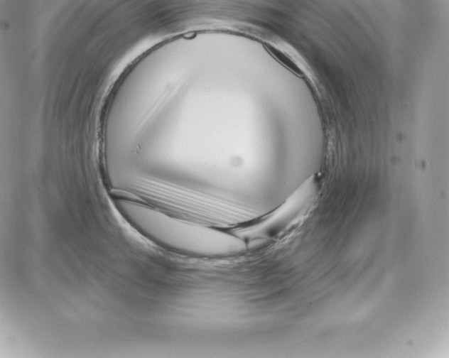 X0000087681143200706011648