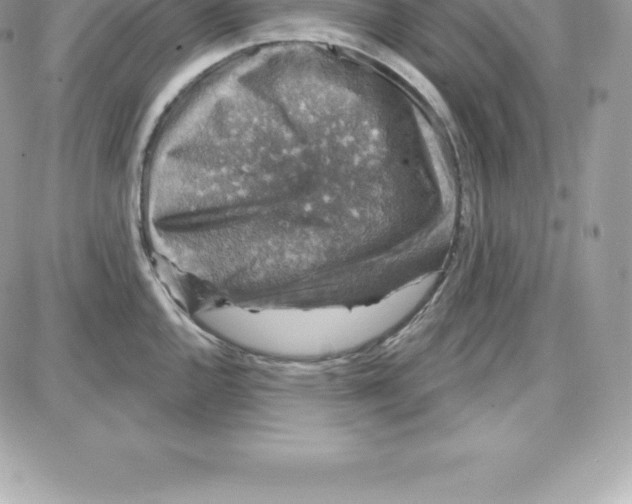 X0000087681144200706011648