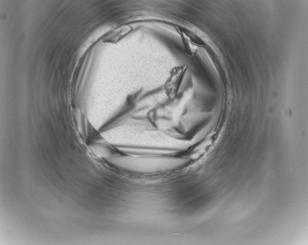 X0000087681145200706011648