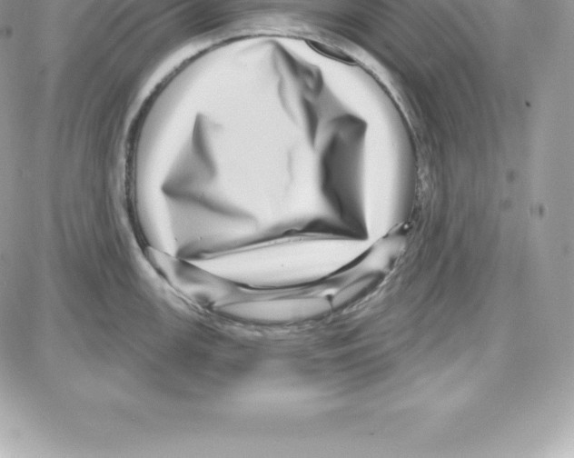 X0000087681147200706011648