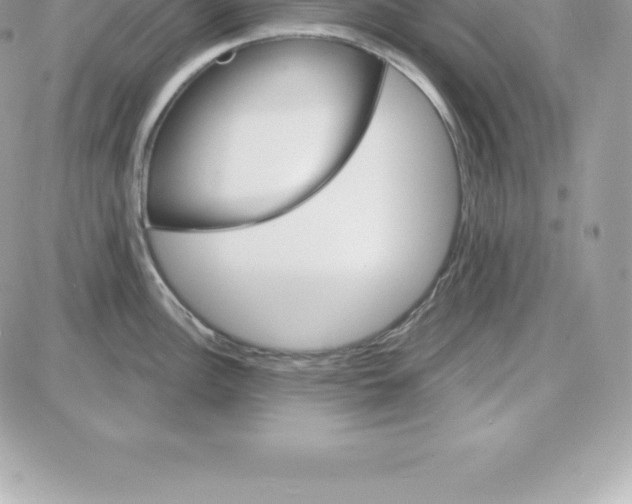 X0000087681148200706011648