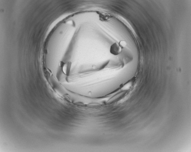 X0000087681149200706011648