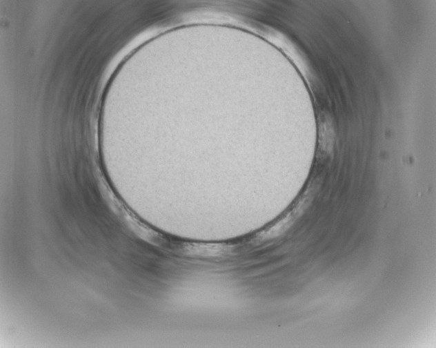 X0000087681150200706011648