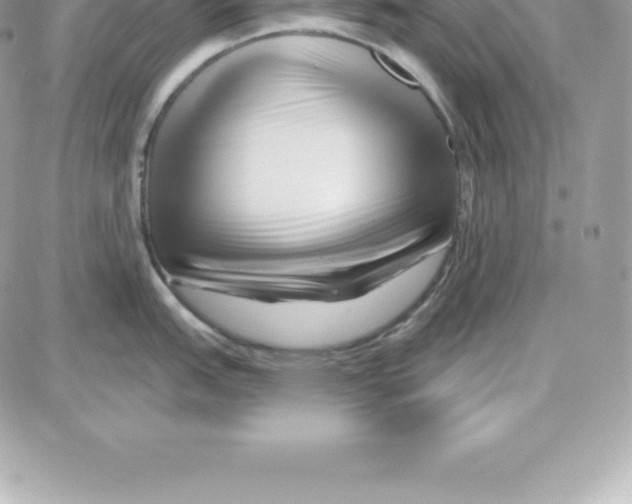 X0000087681151200706011648