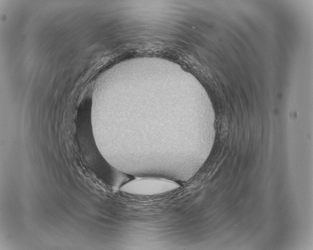 X0000087681153200706011647