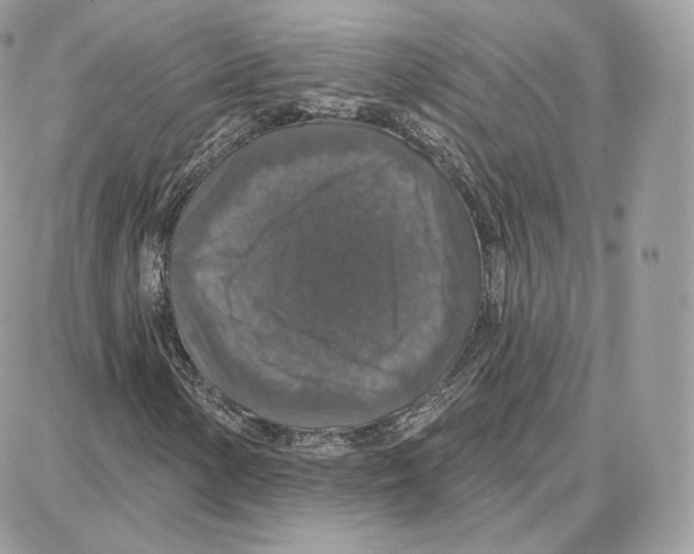 X0000087681154200706011647