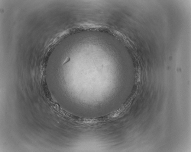 X0000087681157200706011647