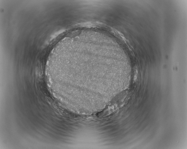 X0000087681158200706011647