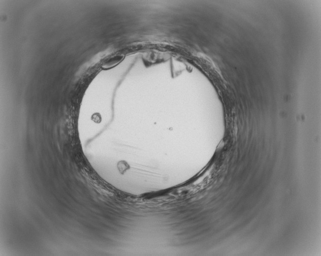 X0000087681159200706011647