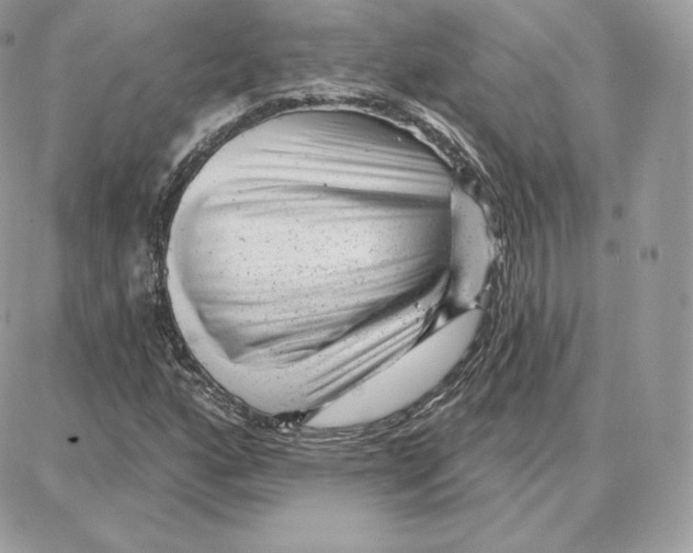 X0000087681160200706011647