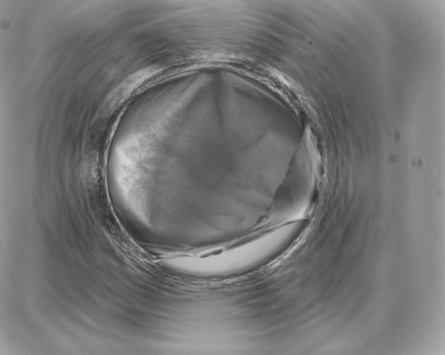 X0000087681161200706011647