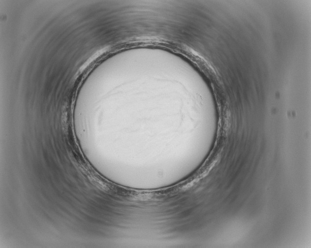 X0000087681162200706011647