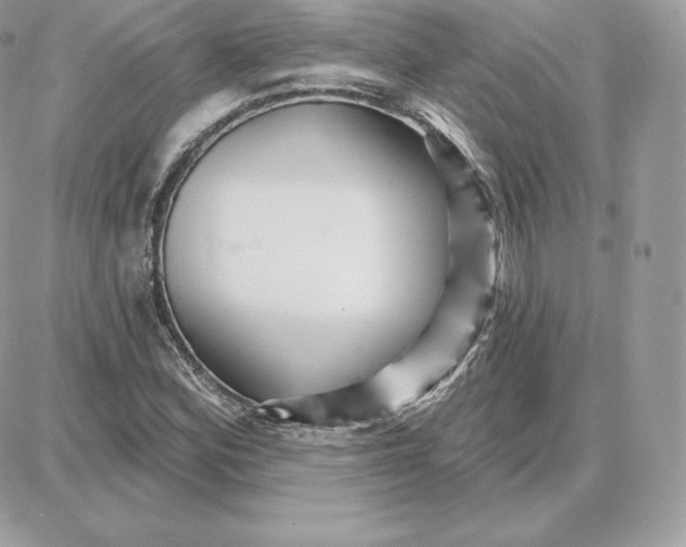 X0000087681164200706011647