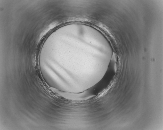 X0000087681165200706011647