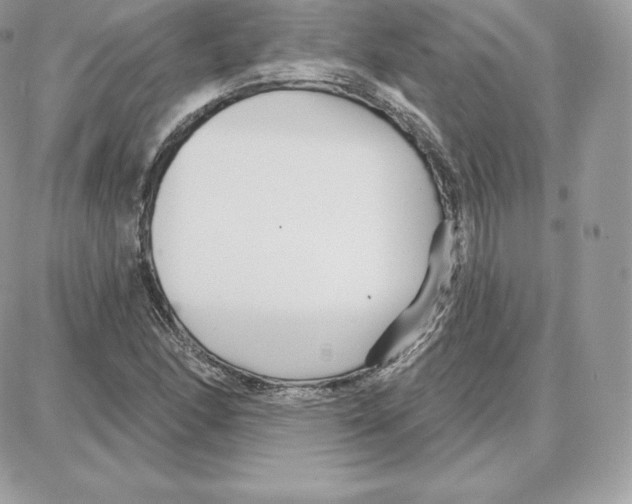 X0000087681166200706011647