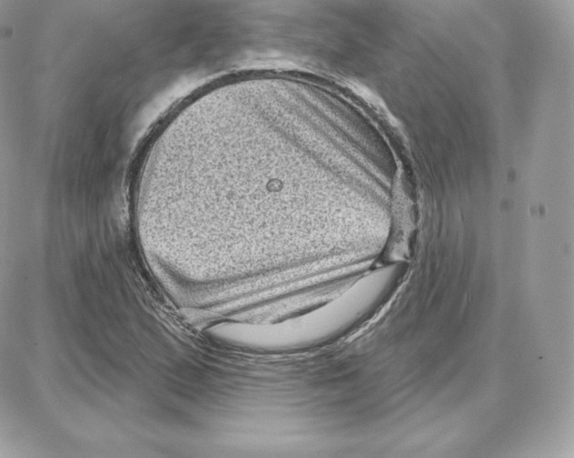 X0000087681167200706011647