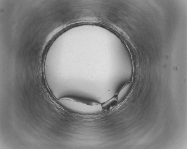 X0000087681168200706011647