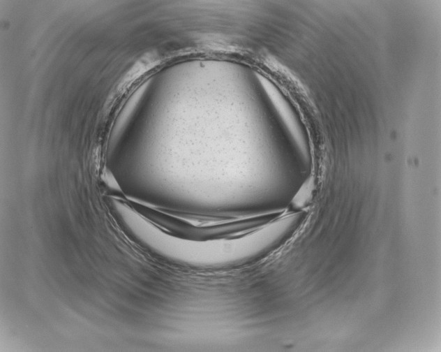 X0000087681169200706011647