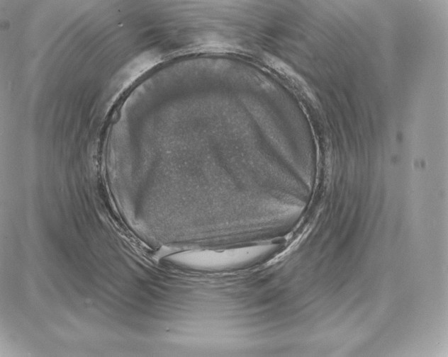 X0000087681170200706011647