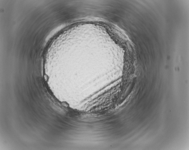 X0000087681171200706011647