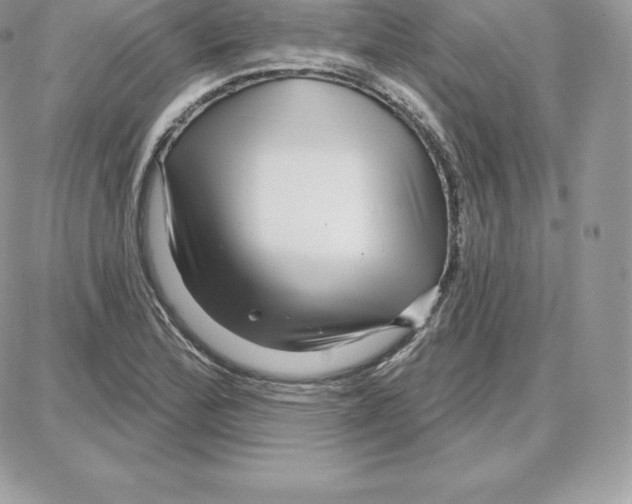 X0000087681172200706011647