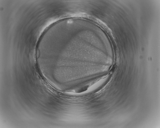 X0000087681174200706011647