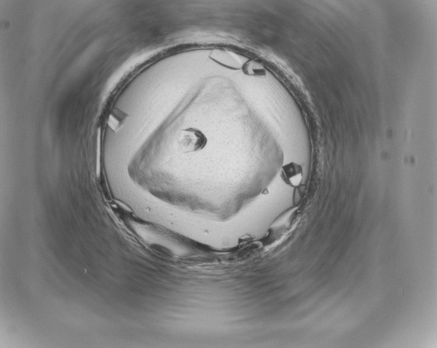 X0000087681175200706011647