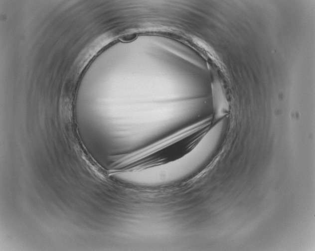 X0000087681177200706011647