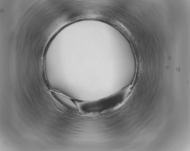 X0000087681178200706011647