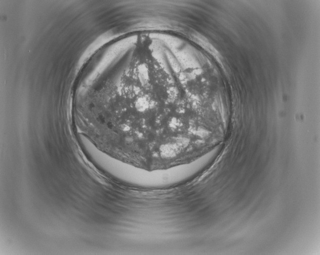 X0000087681179200706011646