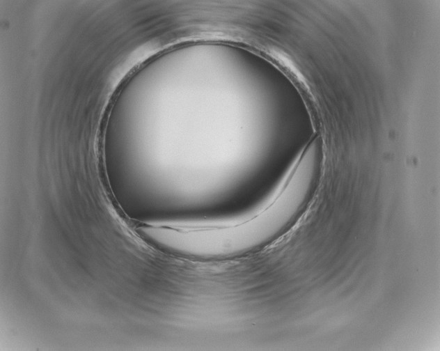 X0000087681181200706011646