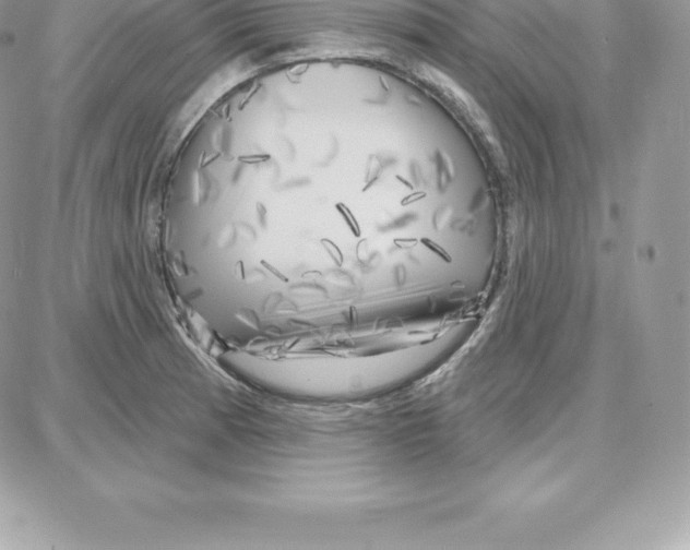 X0000087681185200706011646