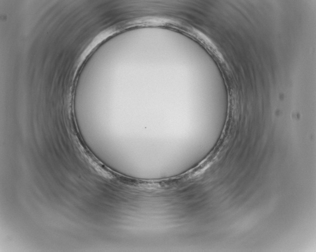 X0000087681186200706011646