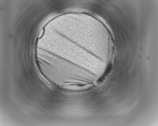 X0000087681187200706011646