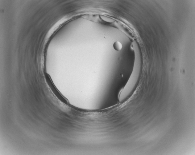 X0000087681188200706011646